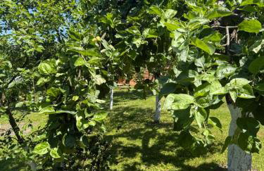 Apartament Skórcz Kociewie Pomorze Gdańskie Agroturystyka - Foto 25