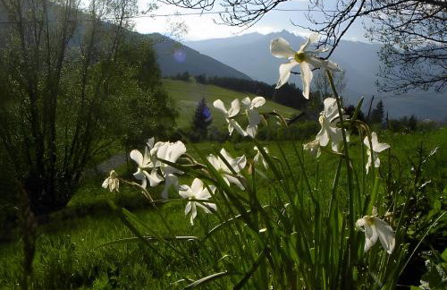 Gîte 6 Personnes - Foto 12