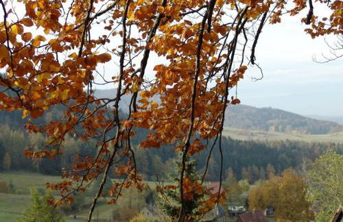 One-bedroom apartment - Foto 29