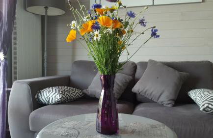 Gîte d'Anne et Ulysse - Foto 19