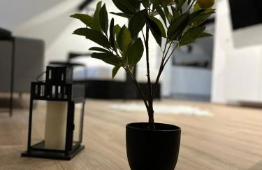 Modernes Loft am Dreiländereck - Foto 18