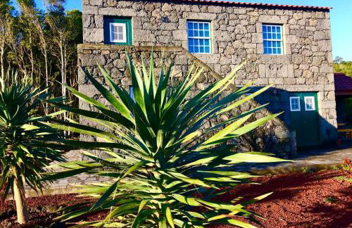 Adega da Prainha - Photo 27