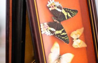 Maison des Chanoines - Foto 41