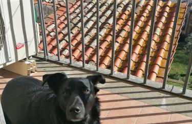 Il piccolo rifugio - Foto 19