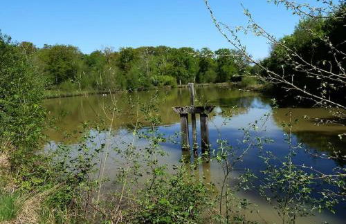Château Le Brun - Loire Valley and vineyards - Foto 57
