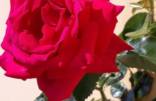 La Torre wine resort - Foto 74