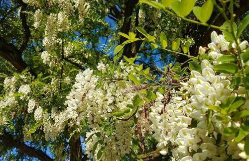 7 STODOŁA - Hotel butikowy - Foto 45