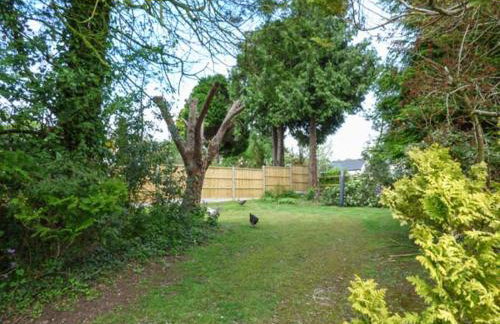 Fiddlers Green - Foto 12