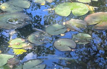 Poggio Roseto - Foto 154