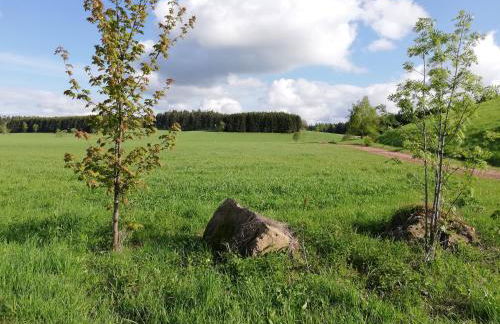 Ferienwohnung an der Reitanlage - Foto 13