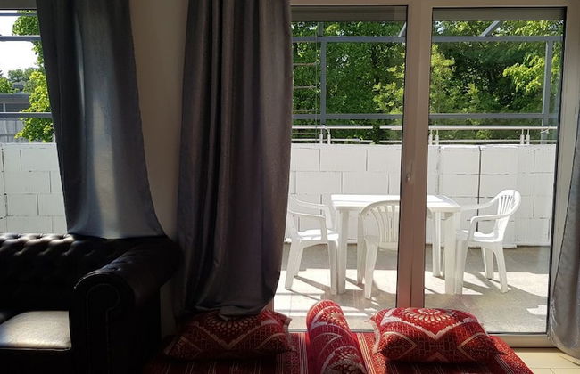 Sahara Falcon - Foto 63