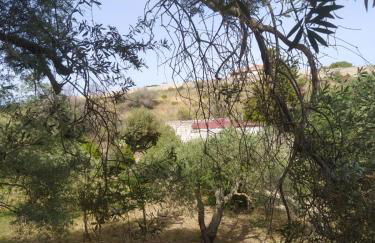 Casa Olea - Photo 42