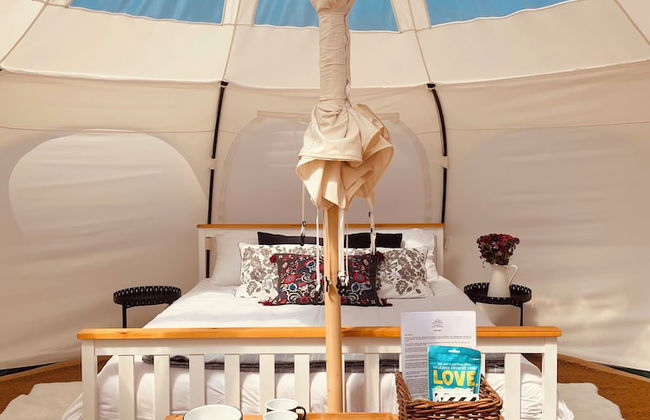 Nest and Nurture - Photo 6