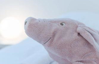 TY RAOK - Jolie maison à Lilia à 200m de la mer - Foto 19