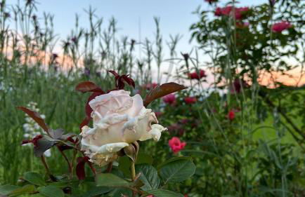 Guesthouse Paradies Samerberg - Foto 34