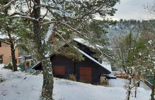 Cañon del río Lobos-La cabaña de Ton - Foto 11