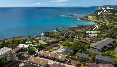 Malia Makai - G - Starfish - Foto 4