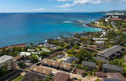 Malia Makai - G - Starfish - Foto 4