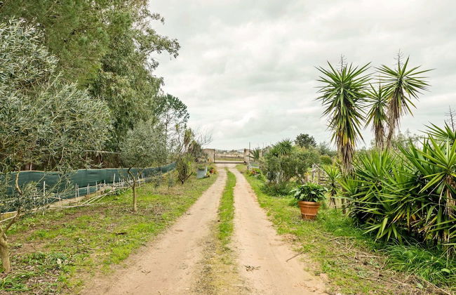 Homes in the Lagoons of Santa Giusta - Foto 34