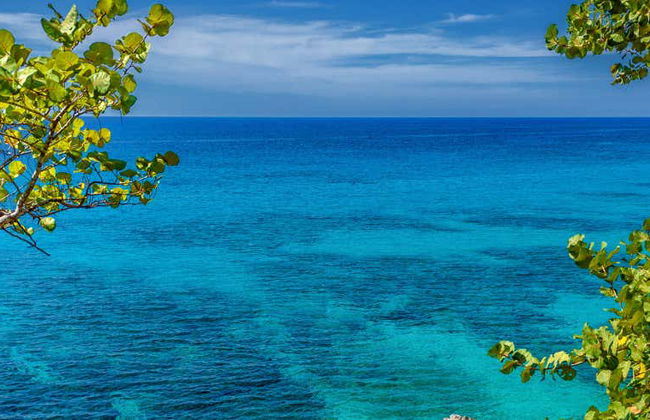 Excursión a Negril - Photo 1