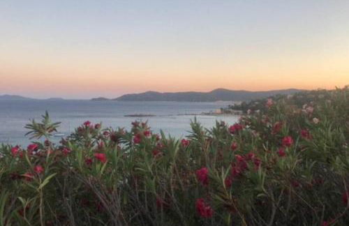 Family villa with sea view classified 3 - 8 people - Foto 16