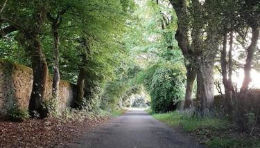 Beautiful countryside cottage, sleeps 6, dogs welcome - Foto 5