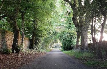 Beautiful countryside cottage, sleeps 6, dogs welcome - Foto 5