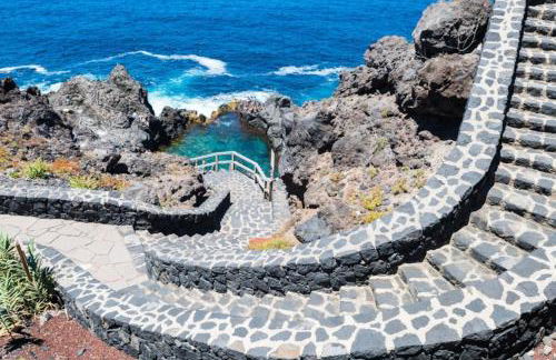 Musa Paradisiaca - Foto 39