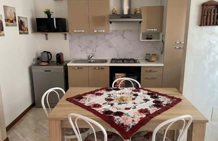 Rose e Frutta - Yellow Daisy - Foto 10