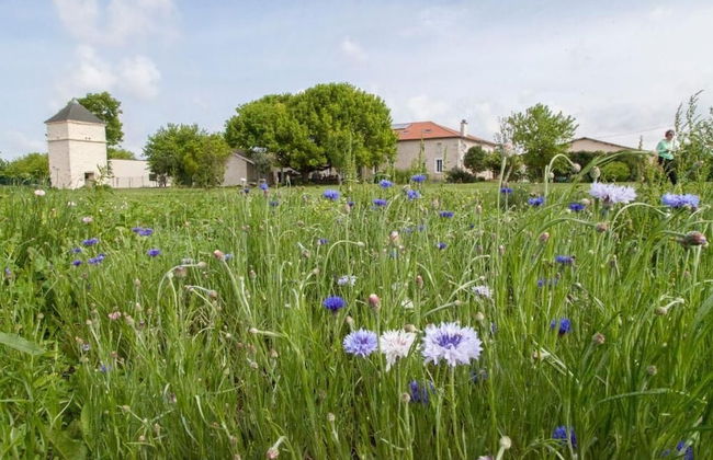 Château Pierre de Montignac - Foto 41