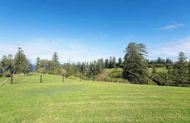 Beefsteak Homestead - Foto 41