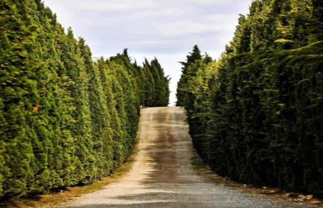 Holiday Home With Private Terrace - Foto 22