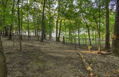 Hot Tub and Wooded Views Lakefront Blue Eye Cottage - Foto 26
