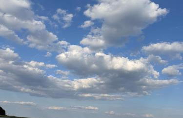 Forest & Lake Mikołajki - Foto 73