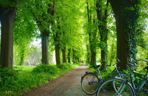 Ptasi Ogród - Foto 22