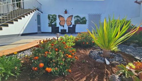 Lower Floor In Flor do Campo - Santana - Foto 3