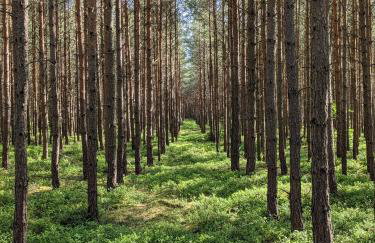 hurra dziura - Foto 44