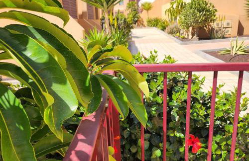 Oro de la Bahia - Foto 31