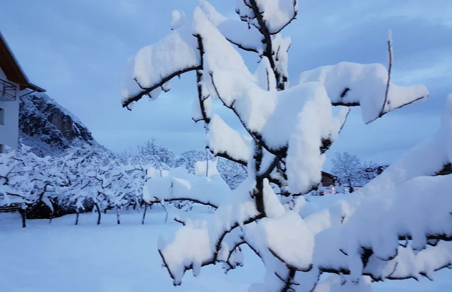 Agriturismo Florandonole - Foto 54