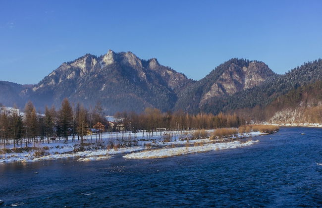 Jaworki Green Dream - Foto 47