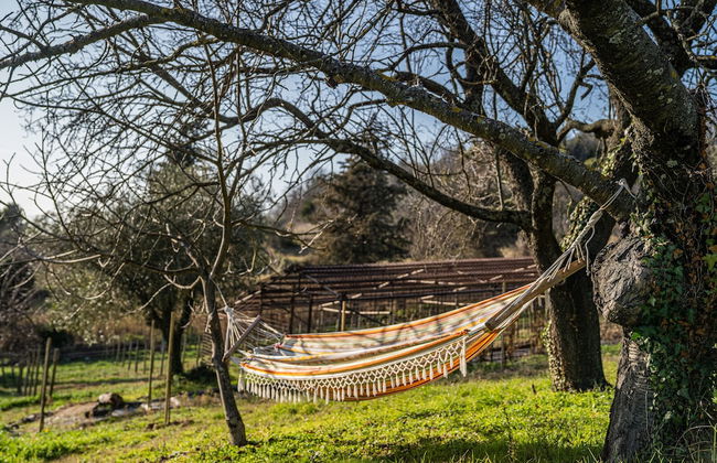 Terra di Gradara - Foto 71