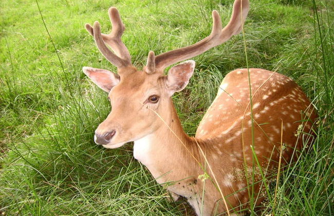 Holiday Home in Saxony With Private Terrace - Foto 21