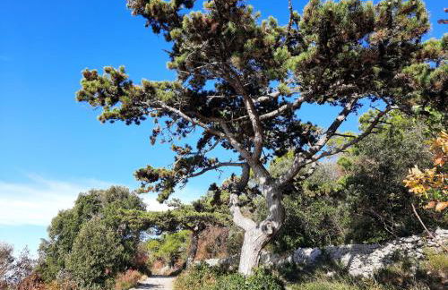 Agriturismo Ai Tre Sentieri - Foto 9