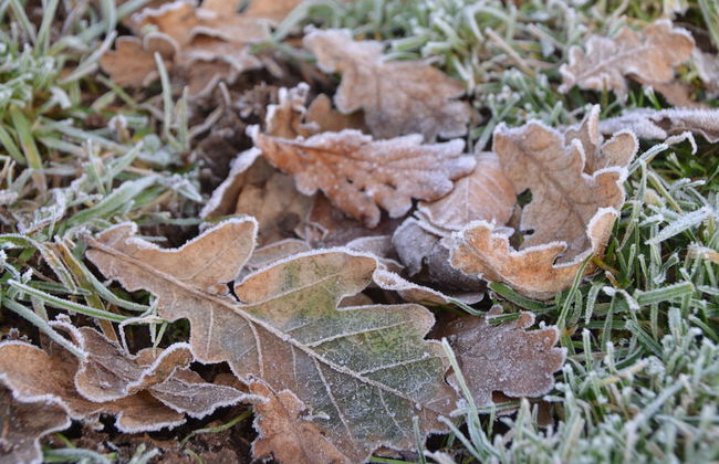 Mongolian Yurts Fordhall Organic Farm - Photo 19