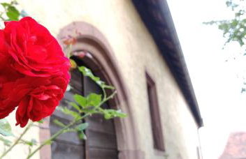 Ferienwohnung am Hollergraben - Foto 18