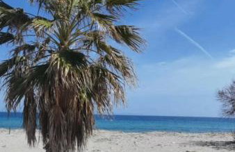 Foula's Summer House - Foto 19