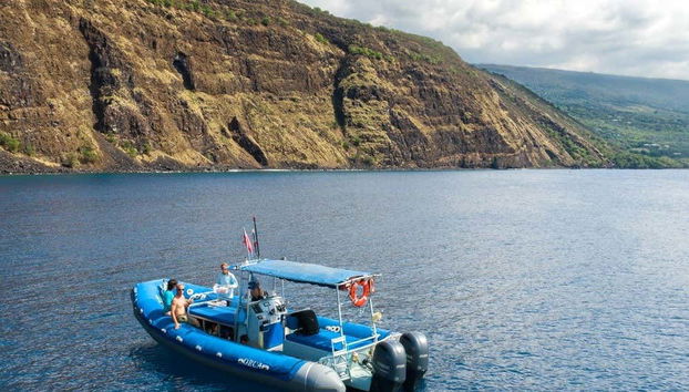 Big Island Snorkel Tour - Foto 4