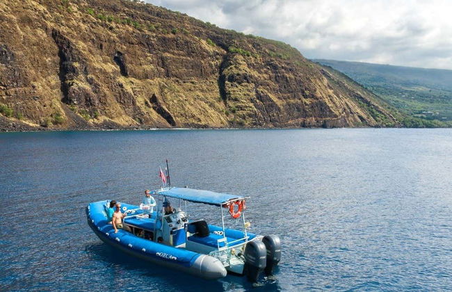 Big Island Snorkel Tour - Foto 4