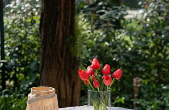 Villa Cristina - Free Private Parking in Medicina, Comfort Premium & Air Conditioning - Foto 56