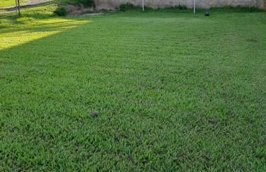 Chacara Oliva - Foto 27